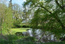 Grundst�ck Idyllisches Freizeitgrundst�ck mit Teich