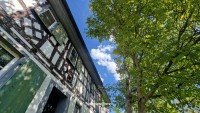 Bild (c2ad49dcfcc4dea879915a9a663852a5): klassisches Fachwerk-Doppelhaus mit 2 gro�en Scheunen